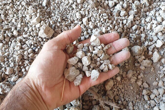 Private Pompeii Tour with Archaeologist & Winery on Mt Vesuvius - Food, baths, and everyday tech: Macellum and Forum Baths