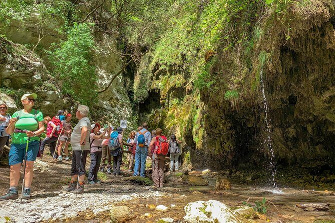 Private Tour: Amalfi Valle delle Ferriere Nature Reserve Walking Tour - Stairs, shoes, and pacing: plan like it’s a hike, not sightseeing