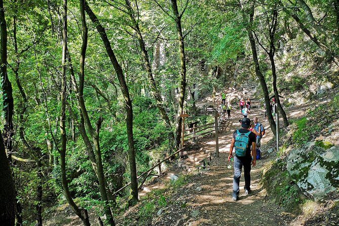 Private Tour: Amalfi Valle delle Ferriere Nature Reserve Walking Tour - Guides really shape the hike: what to watch for with Vincenzo, Michele, Enzo, Alessandro, and Alessio