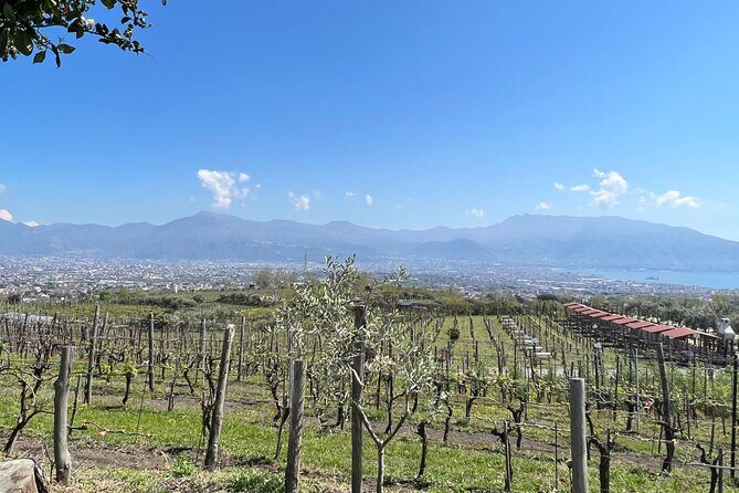 Private Tour in Pompeii Ruins and Pompeii City Center Winery - The human factor: why Tony’s hosting style matters