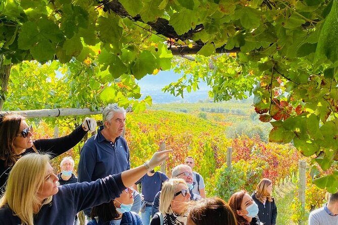 Private Tour in Pompeii Ruins and Pompeii City Center Winery - Who should book this Pompeii and winery day?