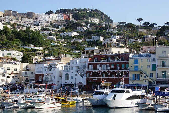 Private tour of Capri & Anacapri with Scenic Shared Boat Ride - Shared boat ride: caves, Faraglioni, and the reality of sea conditions