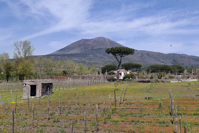 Private Tour Pompeii, Vesuvius and Herculaneum - What to Pack (So Vesuvius Doesn’t Beat You First)