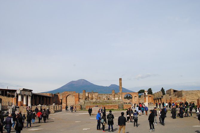 Private tour Pompeii Vesuvius and Winery from Sorrento - The Vesuvius National Park walk: crater-rim views with a clear time target