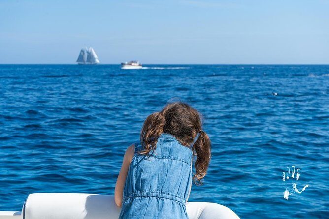 Shared Boat Excursion to Capri from Sorrento - Cruising the Sorrento Coast to Capri: The View Part