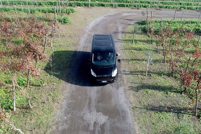 Shared Transfer from Sorrento to Naples Airport - Who This Transfer Fits Best