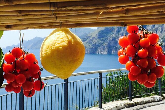 Small Group Amalfi Coast Tour from Sorrento in a Mercedes Van - Villa Rufolo Gardens: Terrace Views With a Small Extra Fee