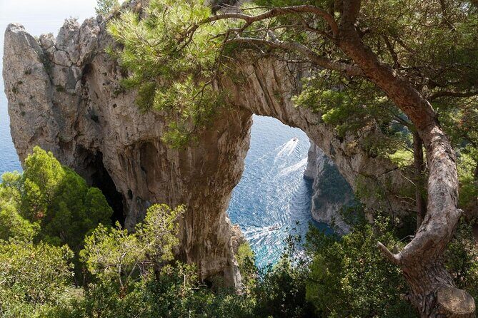 Small Group Boat Day Excursion to Capri Island from Amalfi - Key Highlights Worth Planning Around