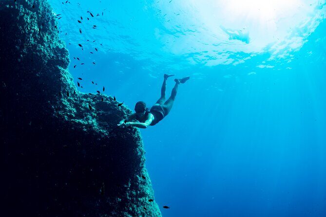 Snorkeling with Marine Biologist Expert from Sorrento - Snorkeling With a Marine Biologist Near Punta Campanella: What Makes It Special