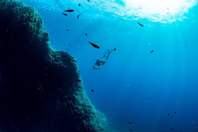 Snorkeling with Marine Biologist Expert from Sorrento - How the Marine Biologist Makes the Water Click