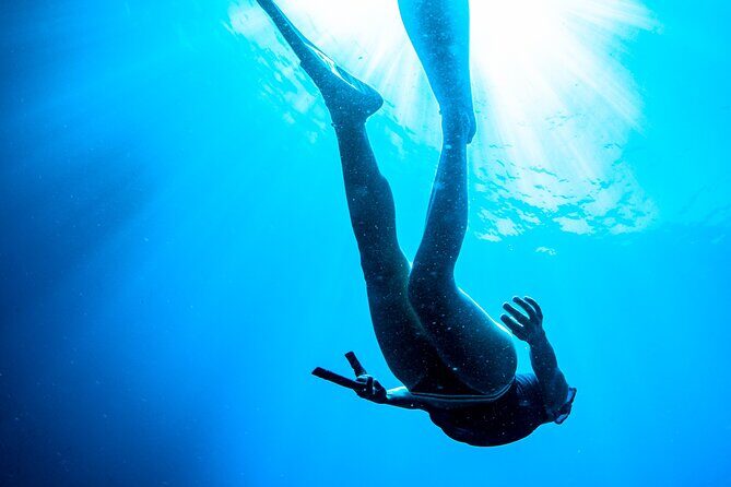 Snorkeling with Marine Biologist Expert from Sorrento - Packing Light and Wearing the Right Gear