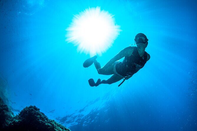 Snorkeling with Marine Biologist Expert from Sorrento - Small Group Snorkeling: The Difference Between Crowds and Care