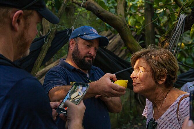 Sorrento Ape Tour, Lemon Garden, Mozzarella Show & Pizza Class - Key highlights at a glance