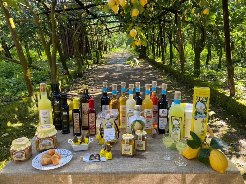 Sorrento: Coast E-Bike Tour with Limoncello Tasting - The First Ride: Olive Trees, Lemon Groves, and Coastal Backroad Calm