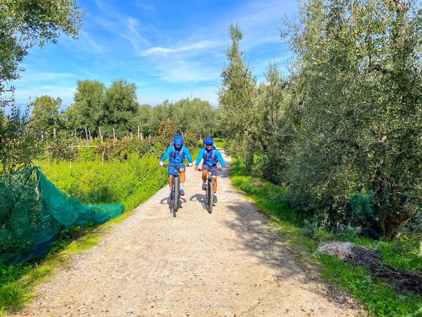 Sorrento: E-bike Oil & Lemon Tour with Tasting - Stop in the Olive Groves: A Calm Walk Through the Real Working Hills