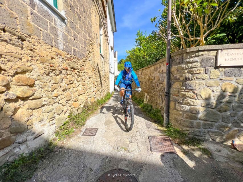 Sorrento: E-bike Oil & Lemon Tour with Tasting - Vineyard Visit and the Food Moment