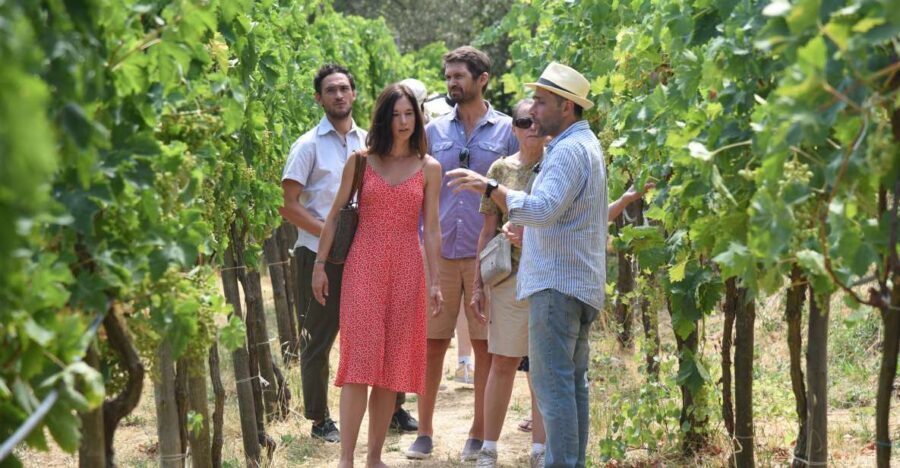 Sorrento: Farm Tour with Cheese Tasting & Pizza Making Class - The Farm Walk: Animals, Crops, Vineyard, Citrus, and Oil