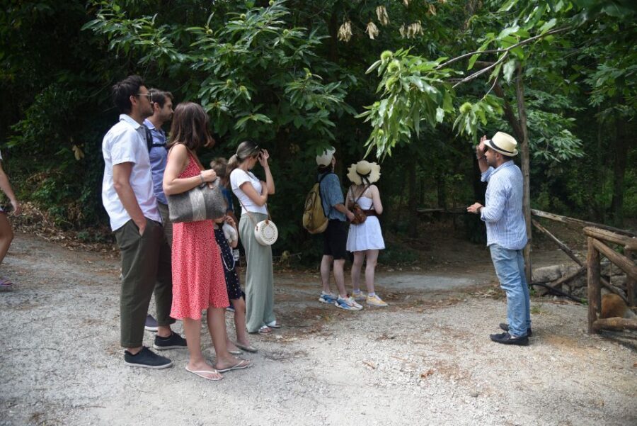 Sorrento: Farm Tour with Cheese Tasting & Pizza Making Class - Lunch at the Farmhouse: What You’ll Eat and Why It Matters