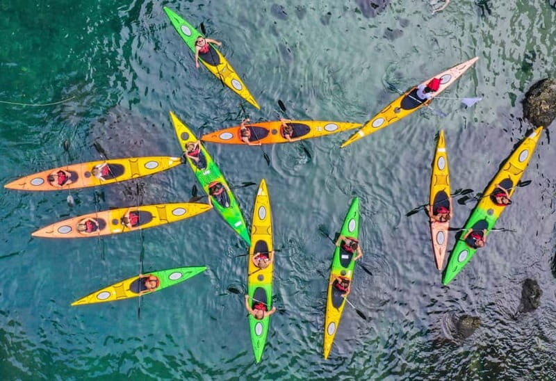 Sorrento: Guided Kayak Tour + Free 1h Paddleboarding - Key Highlights You’ll Feel Immediately