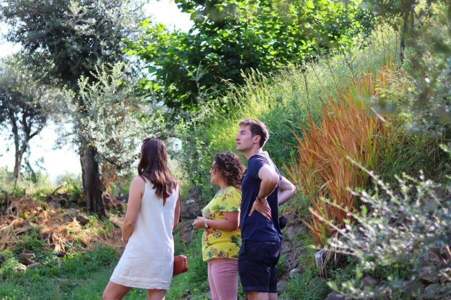 Sorrento: Guided Olive Mill Visit with Tastings - Buying olive oil, cosmetics, and shipping home