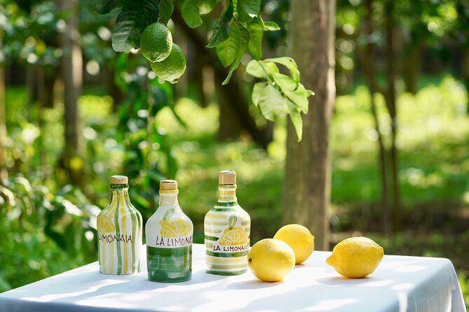 Sorrento Lemon Grove Experience with Local Product Tasting - The tasting you actually remember: jams, Provolone del Monaco, lemon oil, and limoncello