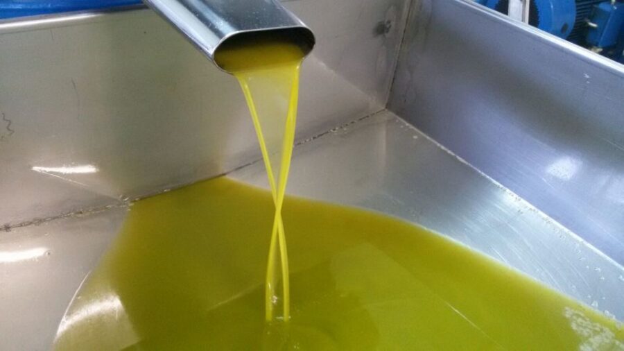 Sorrento: Lemon, Olive Oil and Wine Tasting Tour with Lunch - From Sorrento pickup to a real working farm