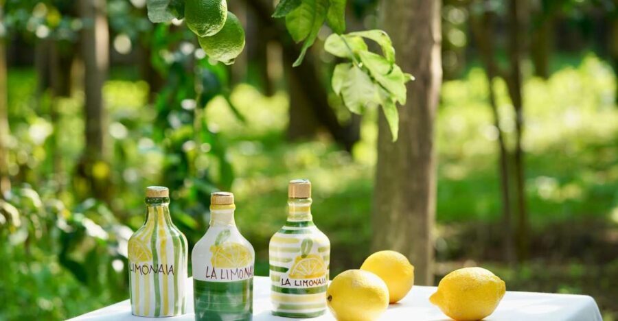 Sorrento Lemon Tour - Key points to know before you go