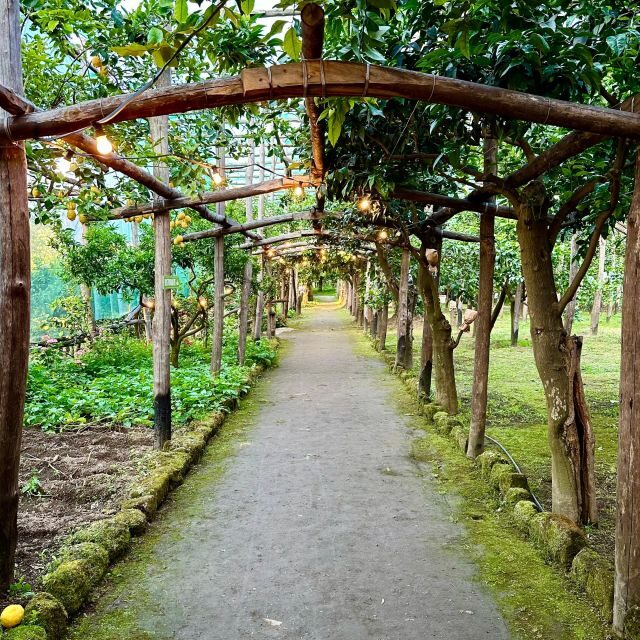 Sorrento Lemon Tour - La Limonaia: the easy, low-stress place to start