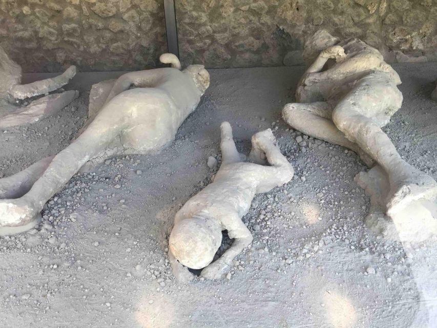 Sorrento: Pompeii & Herculaneum Day Trip Entry and Lunch - Who this day trip is best for