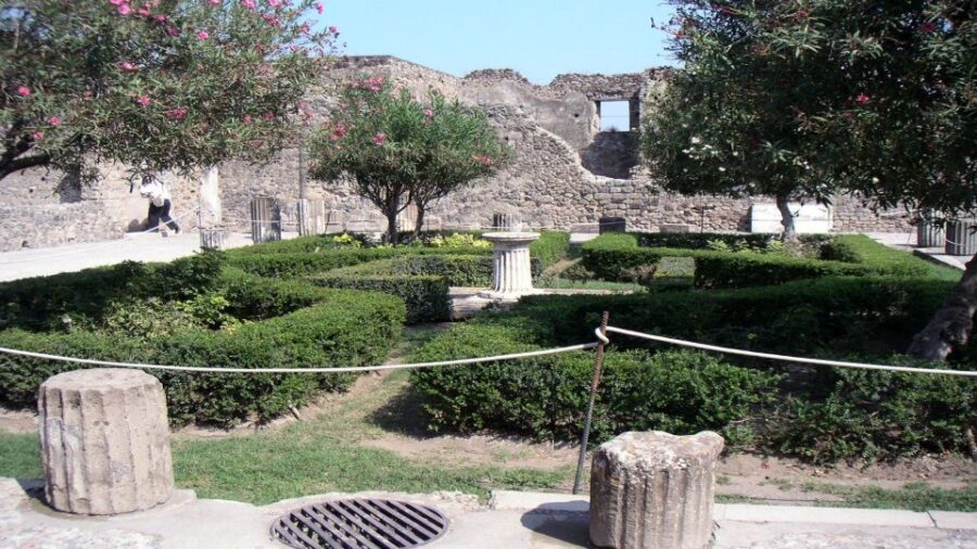 Sorrento: Pompeii & Herculaneum Tour with Skip-the-Line - Light lunch that keeps you going (and sometimes adds wine)
