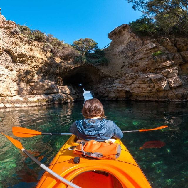 Sorrento: Premium Kayaking Experience with Swimming - Guides who teach: what you’re actually learning on the water