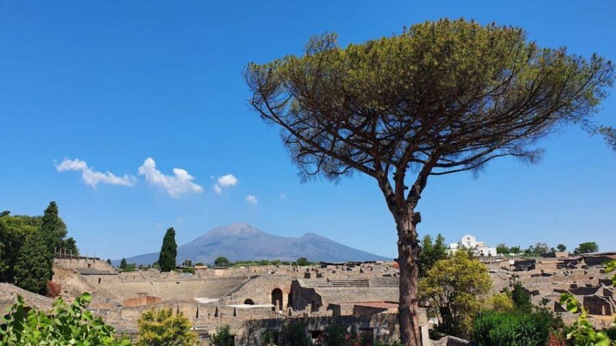 Sorrento: Skip-the-Line Pompeii Express Tour by Train - After the Tour: use your free time like a pro