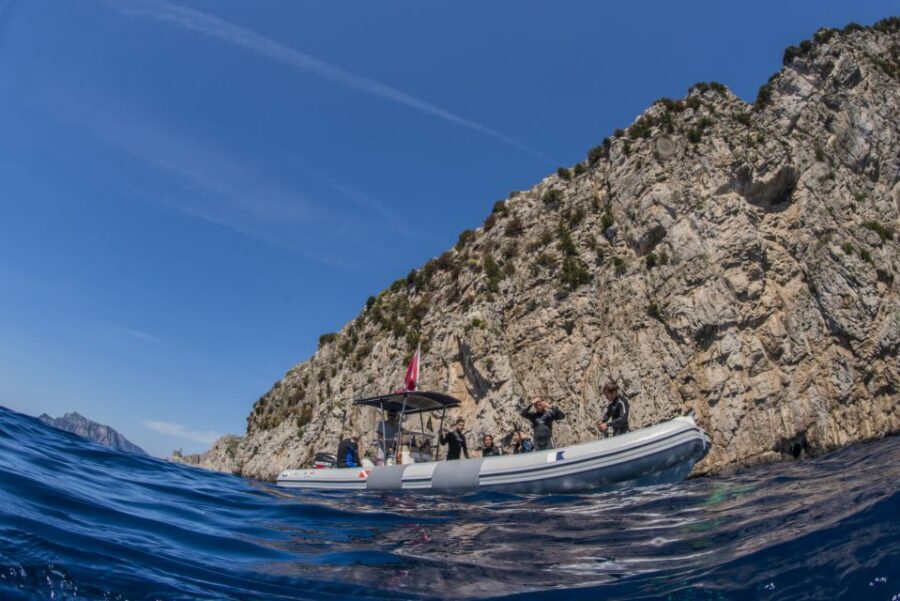 Sorrento: Snorkeling morning tour with a Marine Biologist. - Punta Campanella Marine Reserve snorkeling #1 (1 hour)
