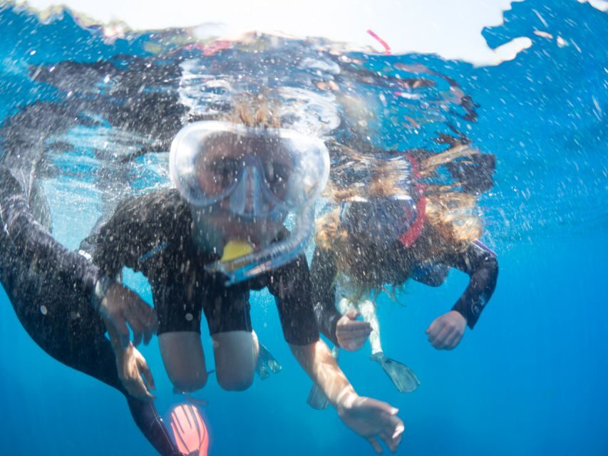 Sorrento: Snorkeling morning tour with a Marine Biologist. - Small-group comfort: max 10 changes the whole vibe
