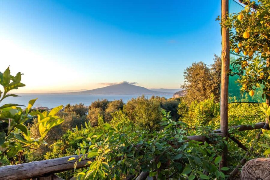 SORRENTO: Sunset Limoncello Making After-Dinner Experience - Fresh limoncello tasting and your included tiramisu al limoncello