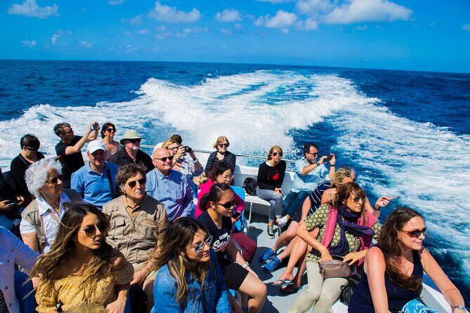 Sorrento to Capri and back: Minicruise Daily Return Ticket - The 30-Minute Sail That Turns the Day Into a Vacation