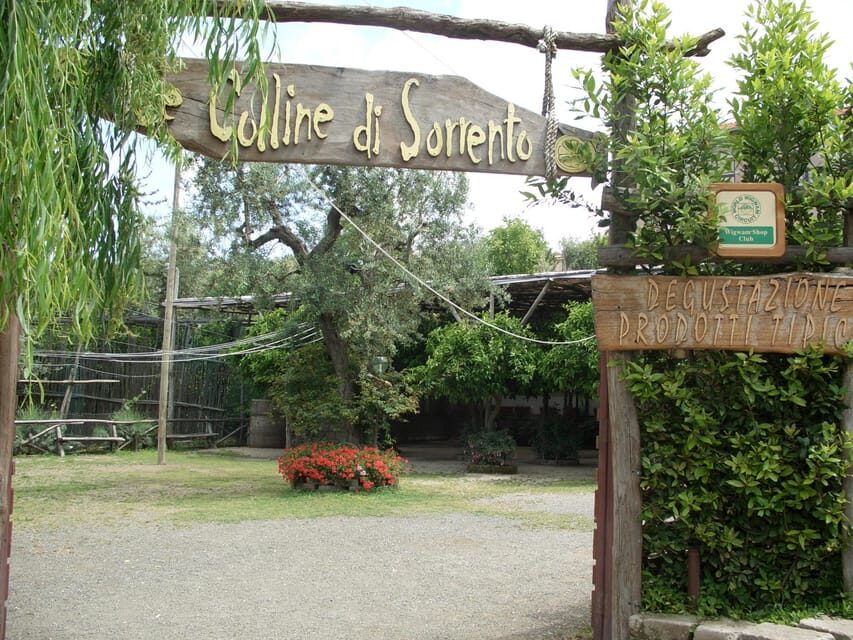 Sorrento: Walking Tour in Lemon Garden w/ Food Tasting - Price and value: is $81 worth it in Sorrento?