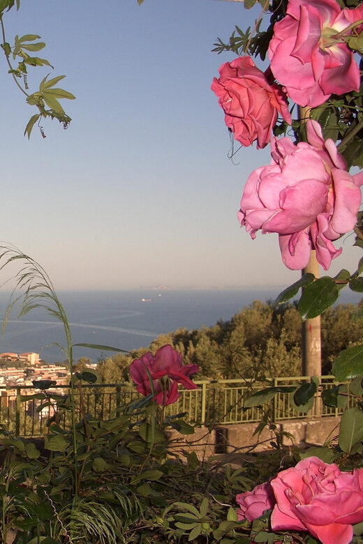 Sorrento: Walking Tour in Lemon Garden w/ Food Tasting - Meeting at Vallone dei Mulini: start simple, then get out of town