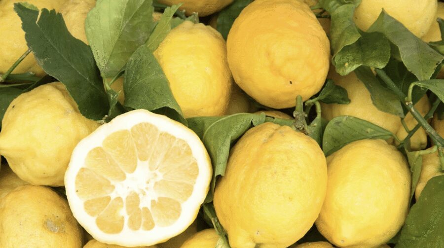 Sorrento: Walking Tour in Lemon Garden w/ Food Tasting - Lemon gardens: more than scenery, it’s about how they care for the fruit