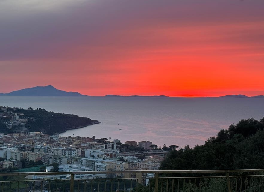 Sorrento: Walking Tour in Lemon Garden w/ Food Tasting - The tasting and lunch: cheeses, tomatoes, bruschetta, and wine
