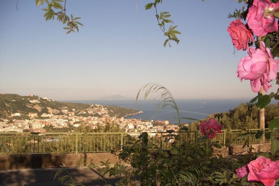 Sorrento: Walking Tour in Lemon Garden w/ Food Tasting - The shop at the farm: buy if you want, not because you feel pressured
