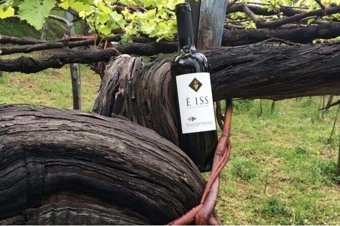 Tenuta San Francesco Wine Tasting - Key highlights to know before you go