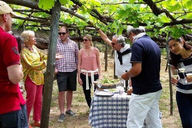 Tenuta San Francesco Wine Tasting - Should you book Tenuta San Francesco?