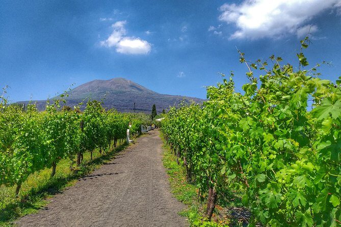 Vesuvius & Vineyard select from Sorrento - Group size and the bus factor: when the schedule feels long