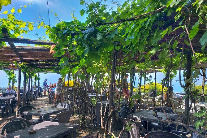 Vesuvius & Vineyard select from Sorrento - Who should book this Vesuvius & vineyard day