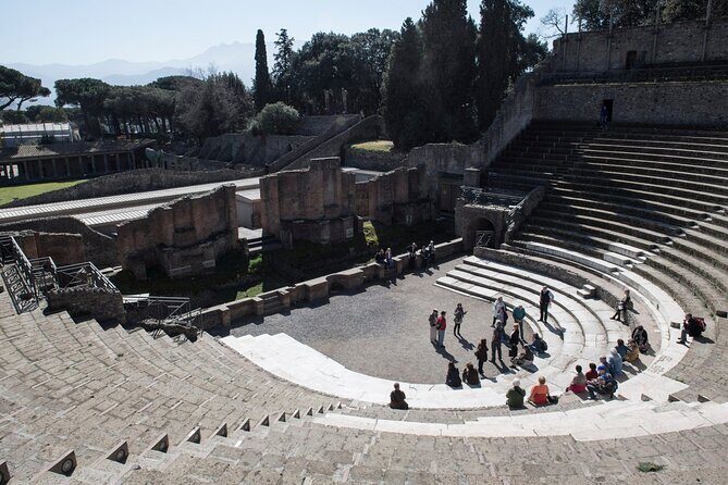 Vesuvius,Herculaneum,Pompeii from Naples or Sorrento - Tickets and entry fees: the part that needs your attention